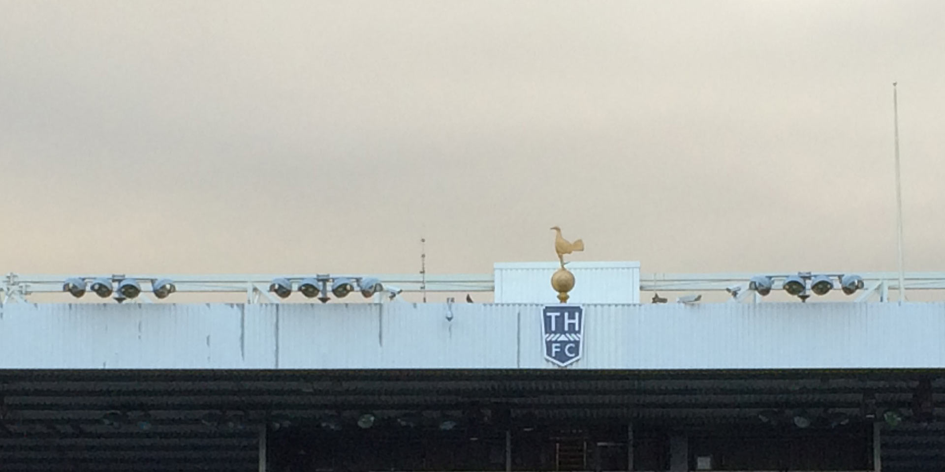 Fear the Cockerel White Hart Lane